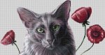(image for) Oriental Poppies (Cat's Face)